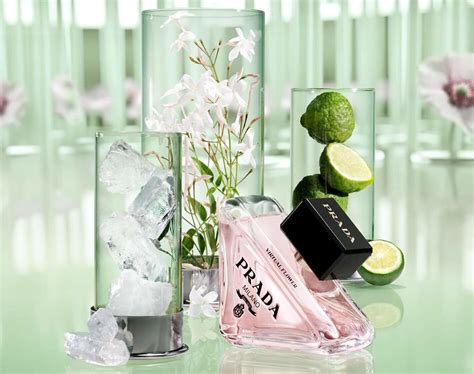 prada flowers|prada paradoxe fragrance.